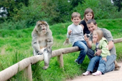 Jon and his familly on path with monkey on rail